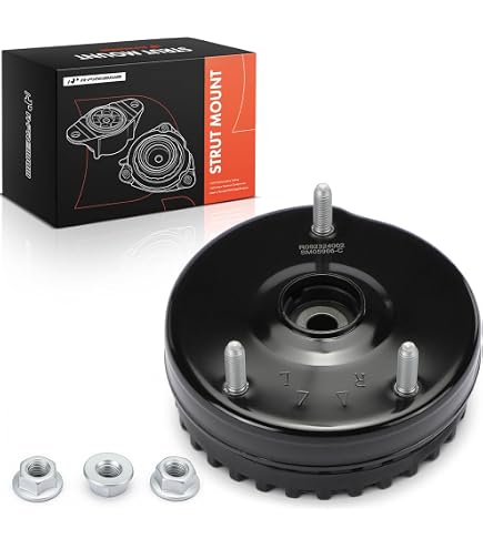 Amazon.com: Monroe Shocks & Struts Strut-Mate 905966 Suspension